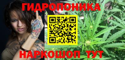 прущие крисы Краснокаменск