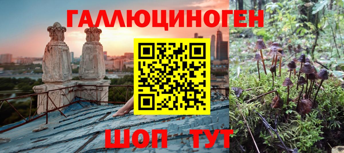 Тулун  Псилоцибиновые грибы Magic Shrooms  магазин    Вход с VPN 